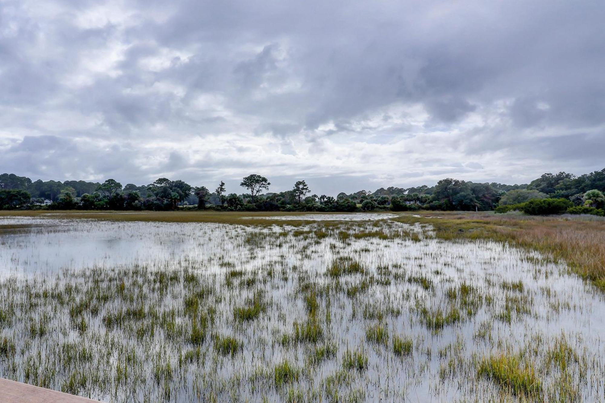 Hilton Head Resort Хилтон-Хед-Айленд Номер фото